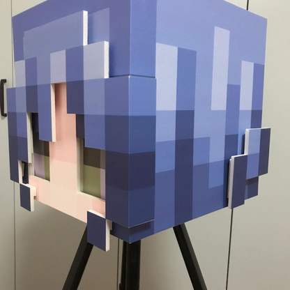 Custom Minecraft Skin Head